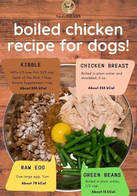 Dog Food Recipes With Chicken