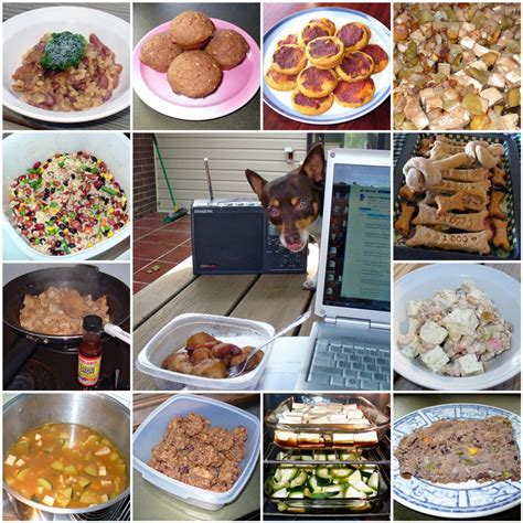 Dog Recipes