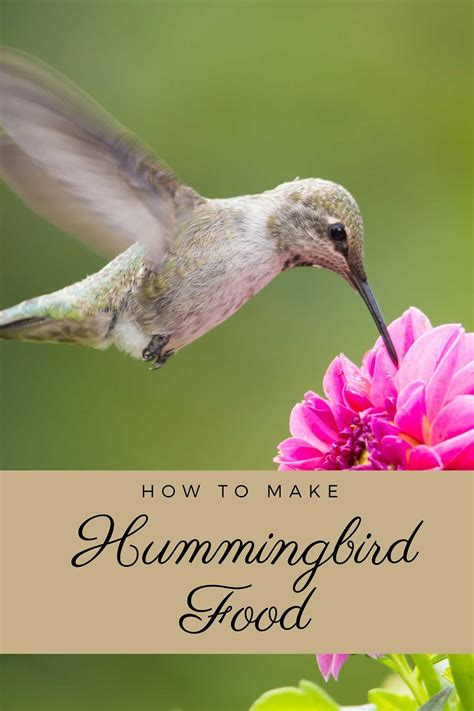 Recipe Hummingbird Food Nectar